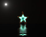 Fairy in Star Pendant / Glow in the Dark / Star Necklace / Fairy Necklace/