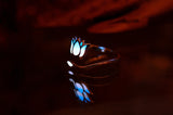 Silver Lotus Ring Glow in the Dark / Flower Ring / Sterling Silver 925 Ring / White Lotus /