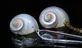 Pearly White Seashell Pendant / Glow in the Dark / Natural Seashell / Sea Theme /