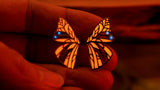 Butterfly Wing Earrings / Glow in the Dark / Stainless Steel Earrings /