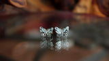 Butterfly Ear clips Glow in the Dark / Sterling Silver 925 / Two ear clips /